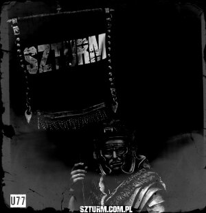 Nacjonalistyczny aktywizm &ndash; dziś i jutro - Grzegorz Ćwik