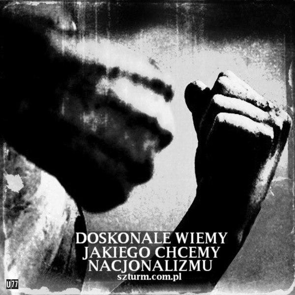 Michał Walkowski - Szturmowy ferment