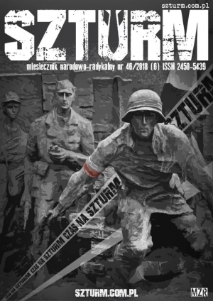 Szturm miesięcznik narodowo-radykalny numer 46 2018 PDF MOBI EPUB